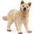 Schleich 14881 Sarki farkaskölyök