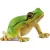 Schleich 14882 Európai zöld levelibéka