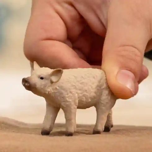 Schleich 14893 Mangalica malac