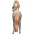 Schleich 14895 Andalúziai csődör