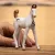 Schleich 14896 Marwari csikó