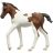 Schleich 14899 Foltos ló (Paint Horse) csikó