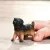 Schleich 14925 Németjuhász kiskutya