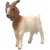 Schleich 14929 Búr kecske