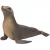 Schleich 14933 Oroszlánfóka