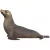 Schleich 14933 Oroszlánfóka
