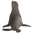 Schleich 14933 Oroszlánfóka