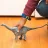 Schleich 15027 Brontosaurus