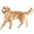 Schleich 16395 Golden retriever szuka kutya
