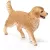 Schleich 16395 Golden retriever szuka kutya