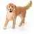 Schleich 16395 Golden retriever szuka kutya