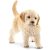 Schleich 16396 Golden retriever kiskutya