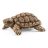 Schleich 42506 Teknősök otthona