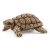 Schleich 42506 Teknősök otthona