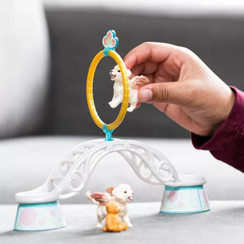 Schleich 42524 Szárnyas oroszlánkölykök kiképzése