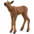 Schleich 42603 Jávorszarvas borjával