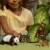 Schleich 42736 Ázsia vadállatai válogatás (kiselefánt, óriáspanda, orangután, tigriskölyök)